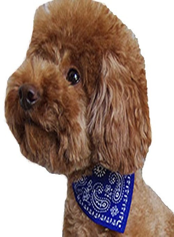 Futaba cotton Pet Neck scarf - Blue, dogs, 1 Count - Image 1